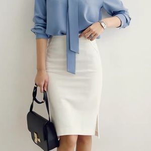 Office Skirt (Fishtail Design)